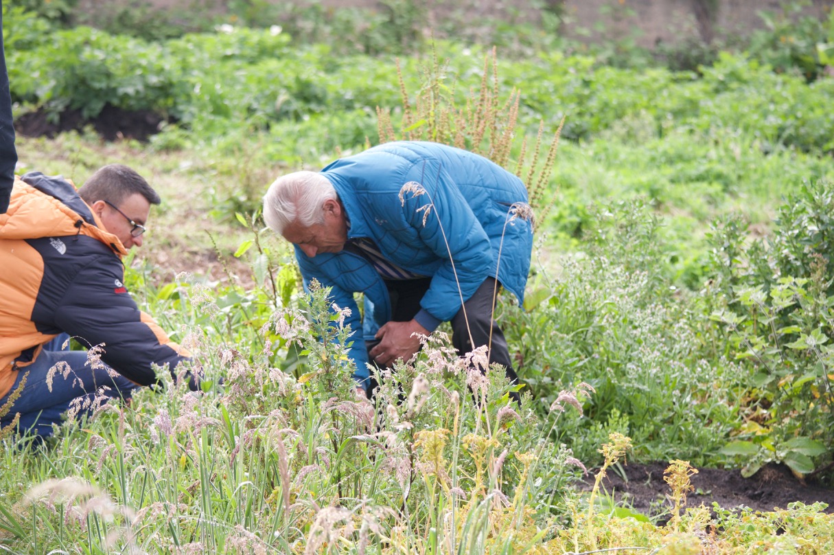 Fabio Baron, Fruandes Logistics and Service Leader (left), on the farm of Hernan Chamorro, the pioneer of the organic golden berry production in Nariño.