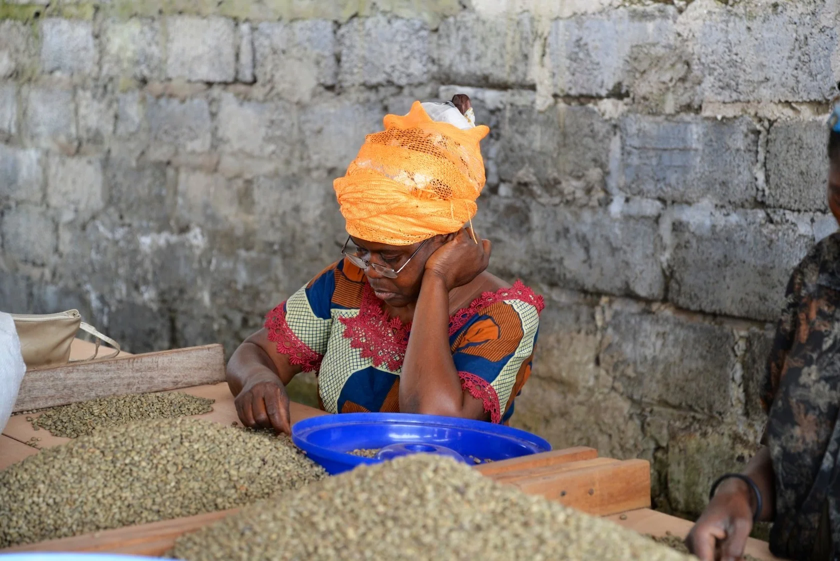 Each coffee bean is hand sorted.