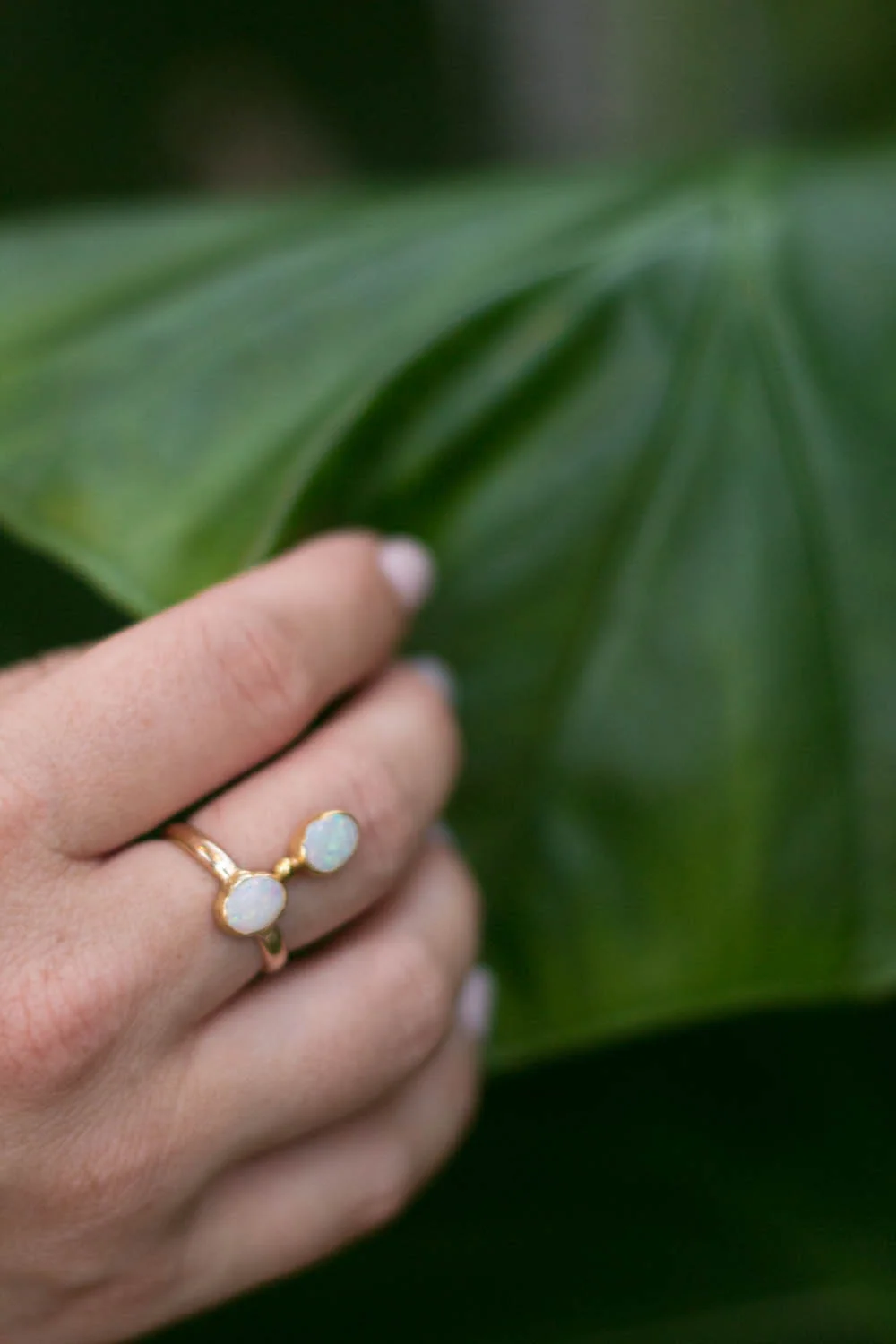 Gemini Ring palm leaf.jpg