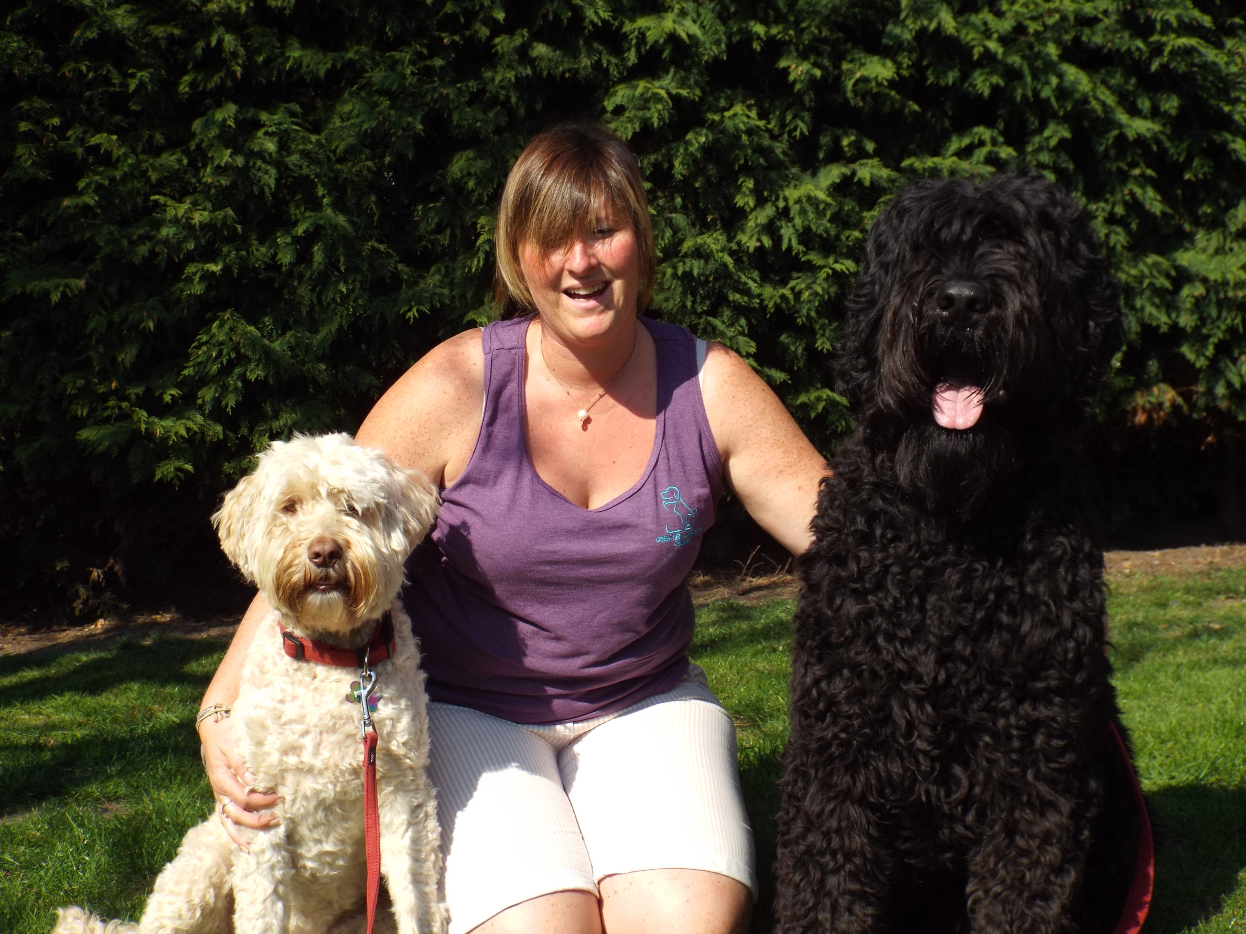 Creature Comforts Cheshire Professional Pet Care, Dog Walking & Home