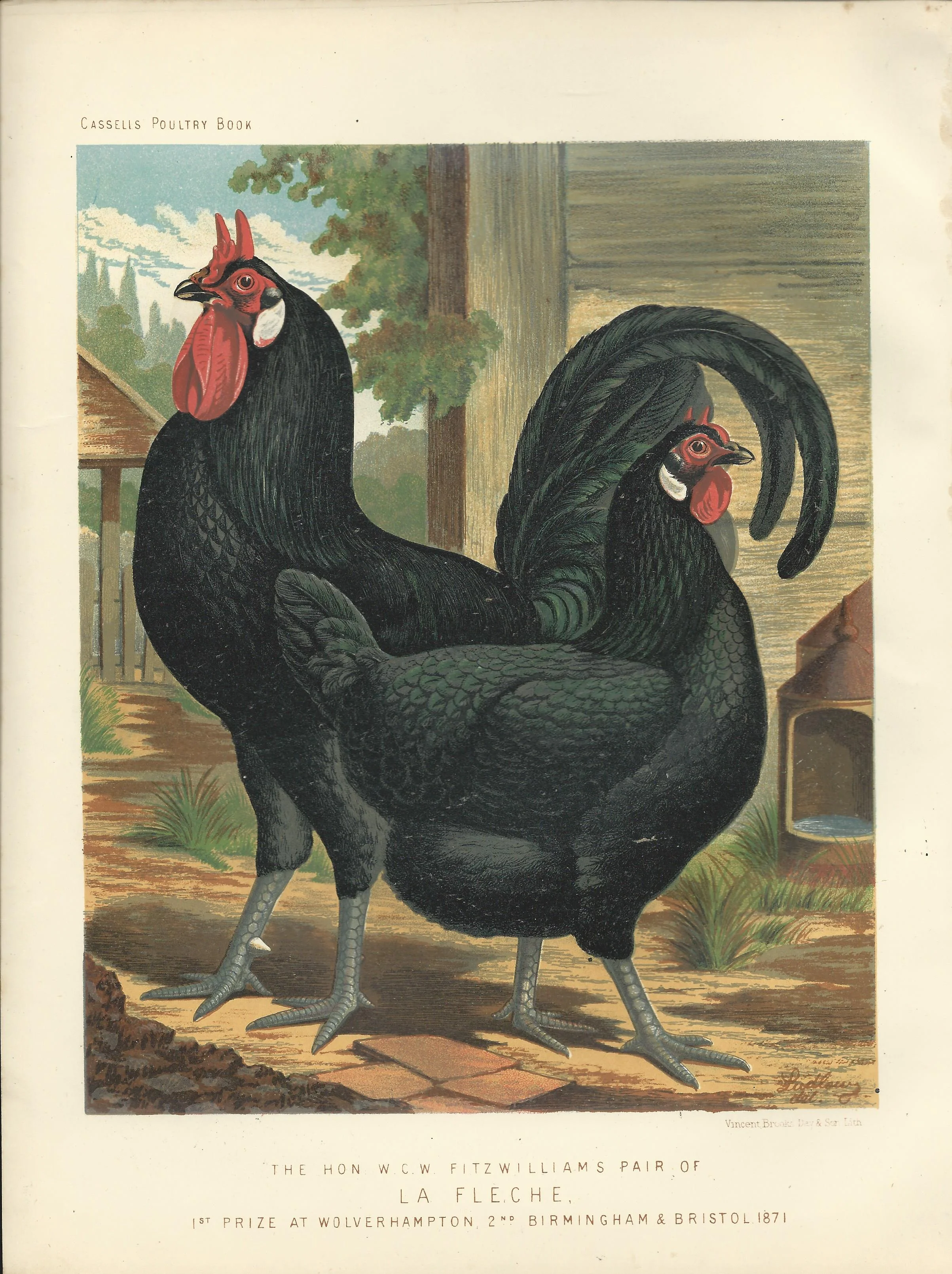 La Fleche.jpg