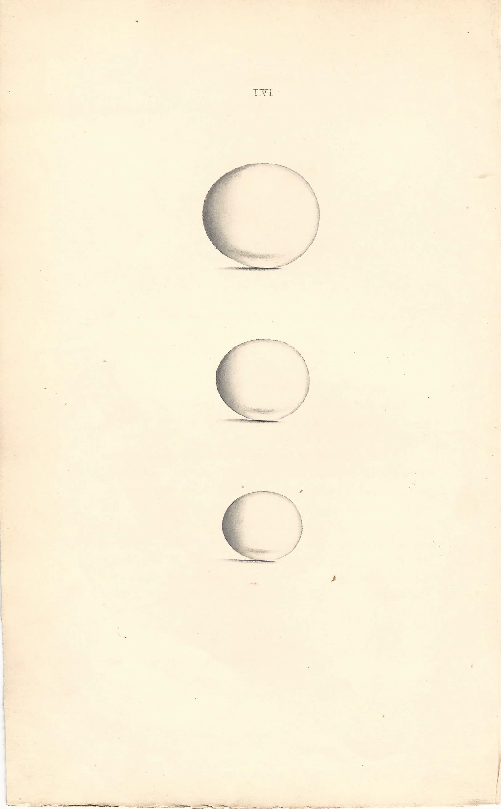 Roller Eggs of British Birds Antique Print Plate