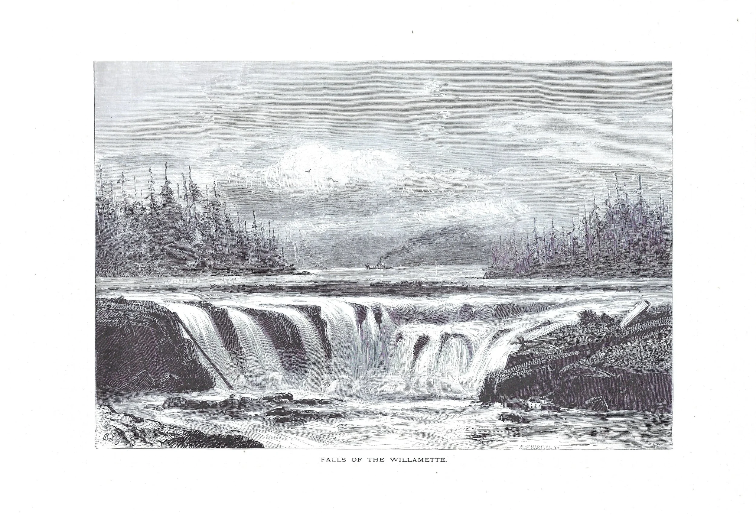 OR - Falls of the Willamette.jpg