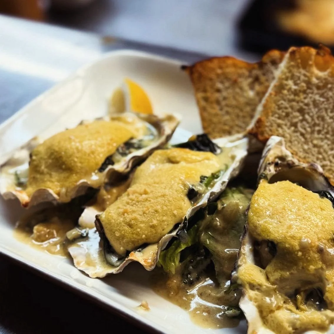 oysters.jpeg