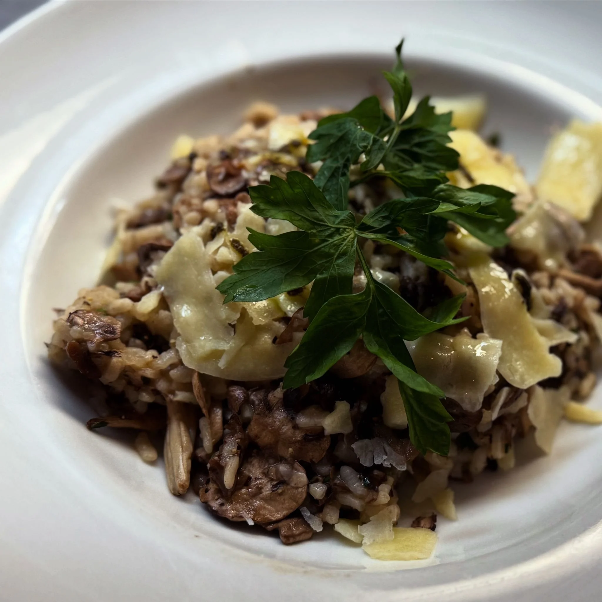 Mushroom Risotto.jpg