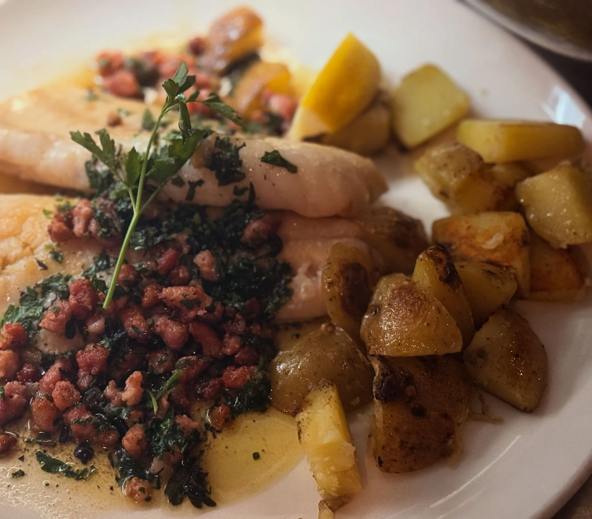 Red Snapper Finkenwerder.jpeg