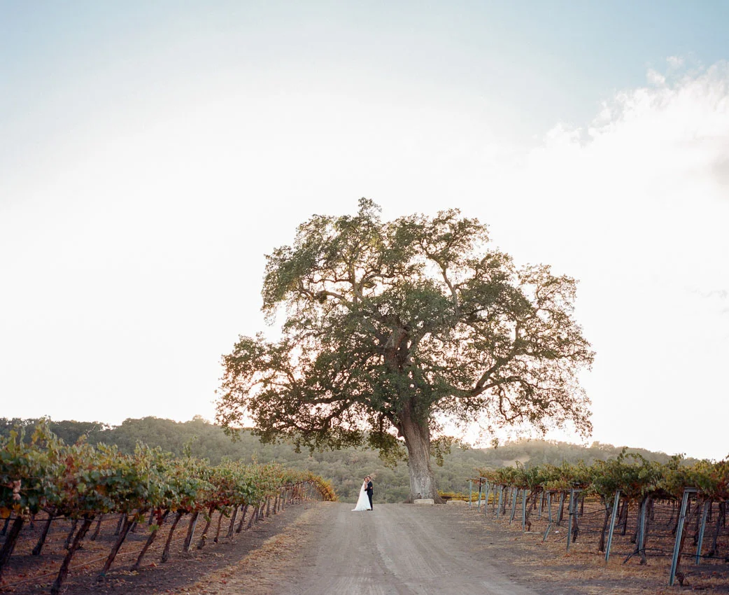Hammersky Wedding Paso Robles photography by The deJaureguis