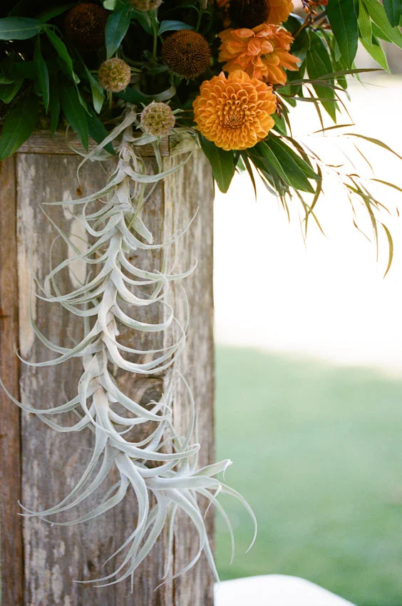 Solvang Wedding by The de Jaureguis