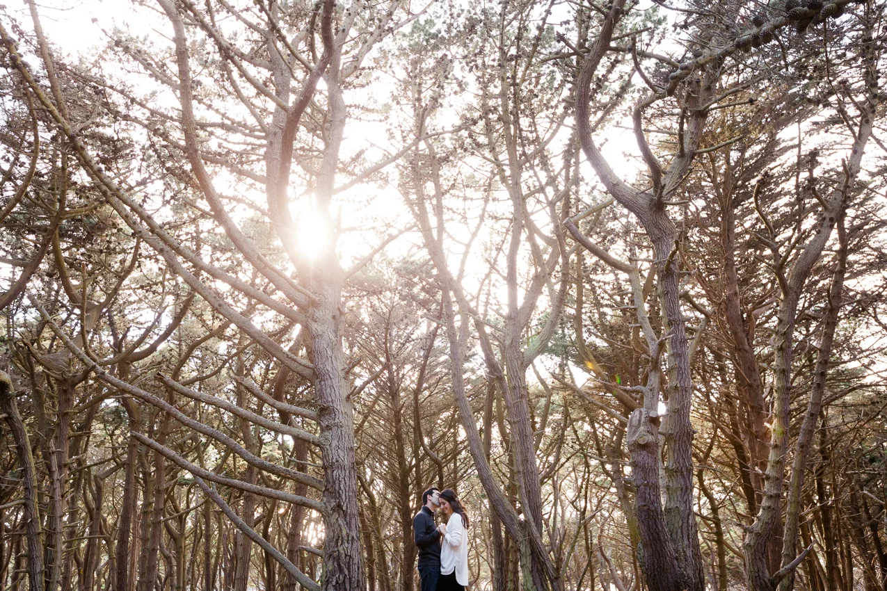 Engagement Sessions by The deJaureguis