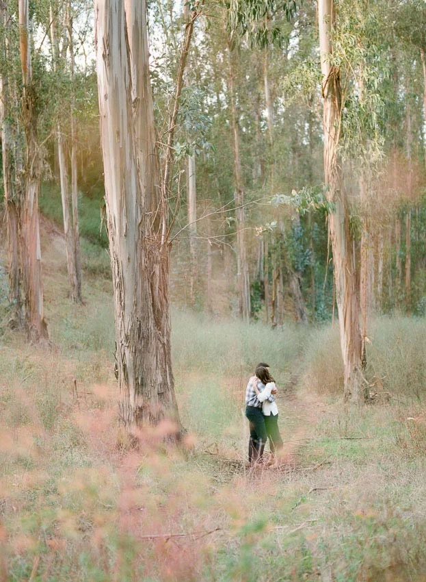 Napa Valley Engagement session