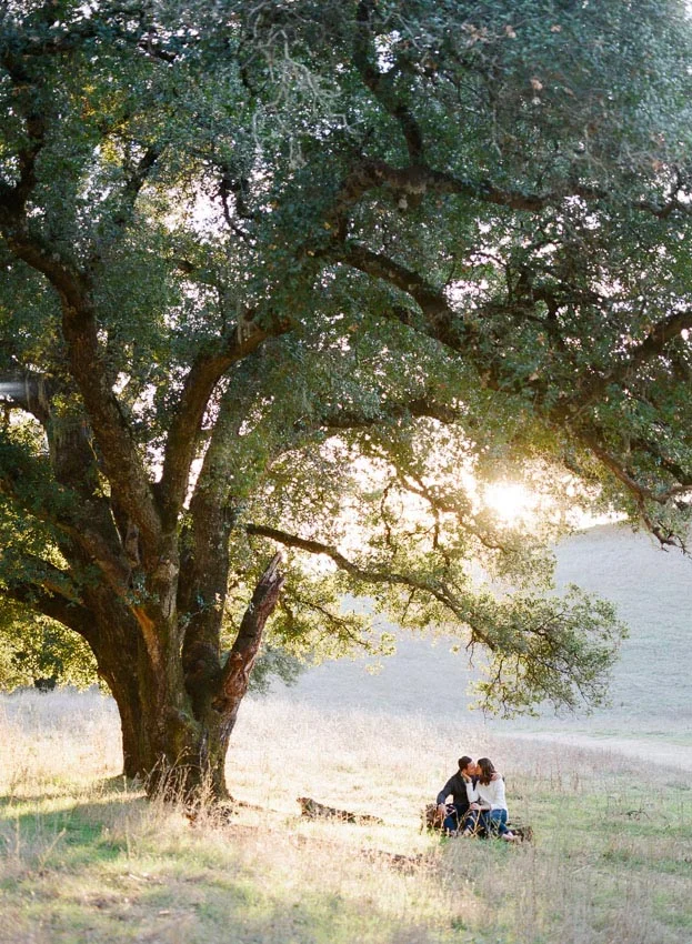 Napa Valley Engagement session