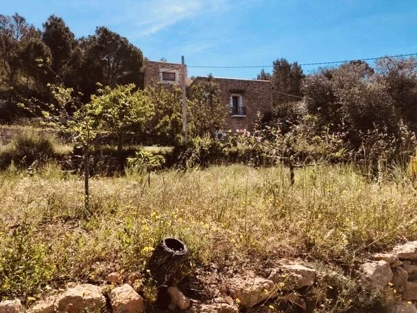 Neue Termine ab 2022