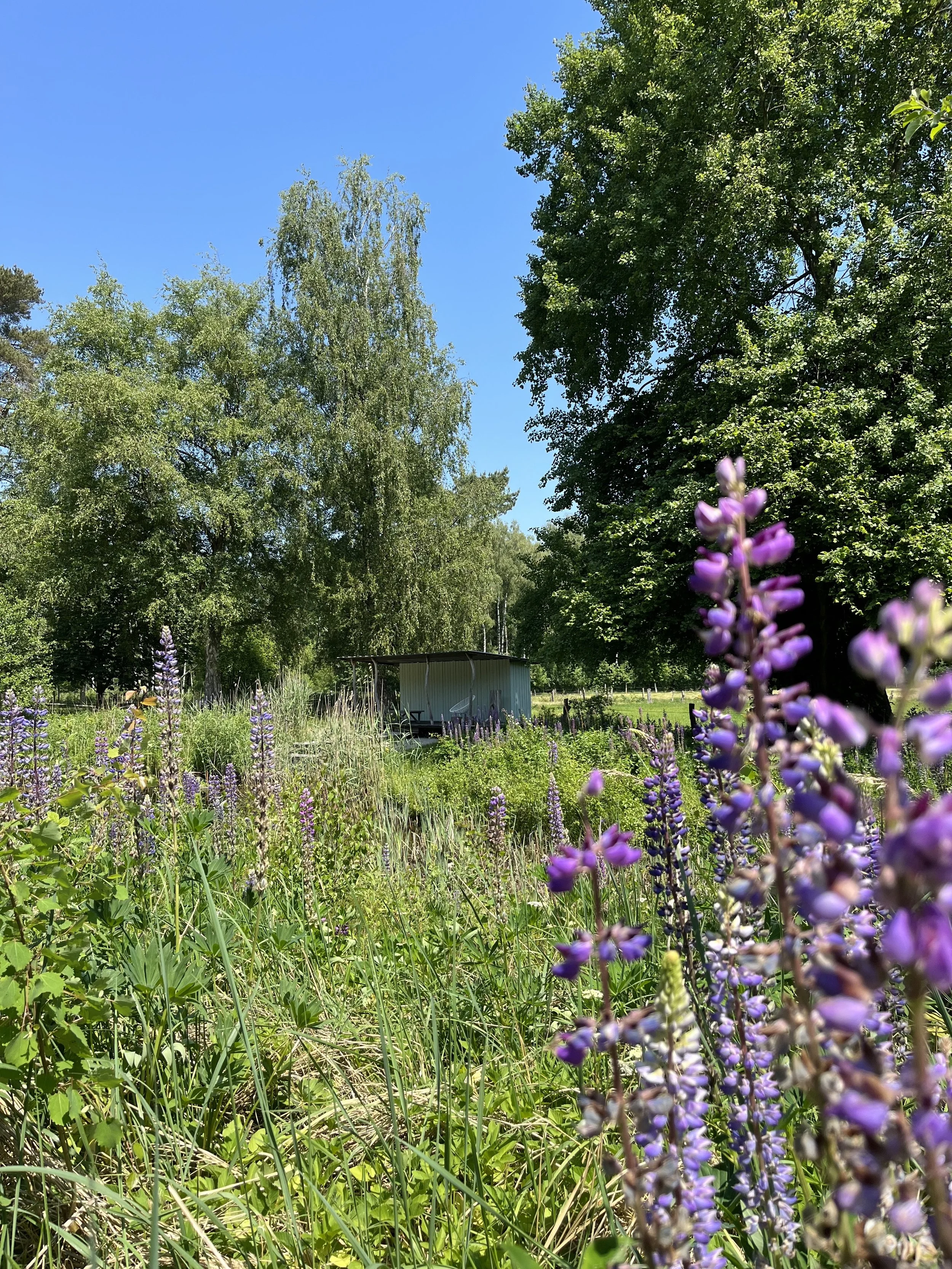 Dayretreat COMMUNITY