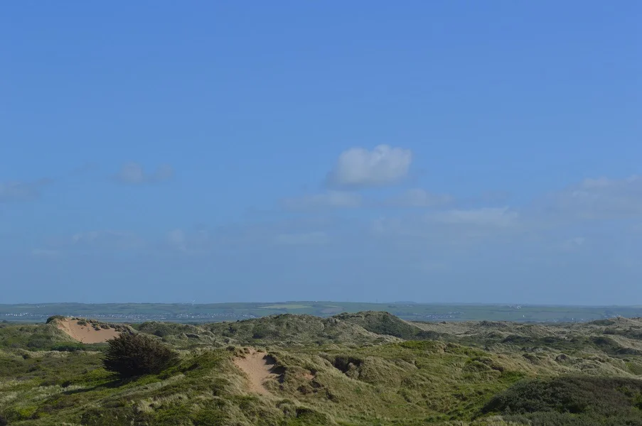 Braunton Burrows