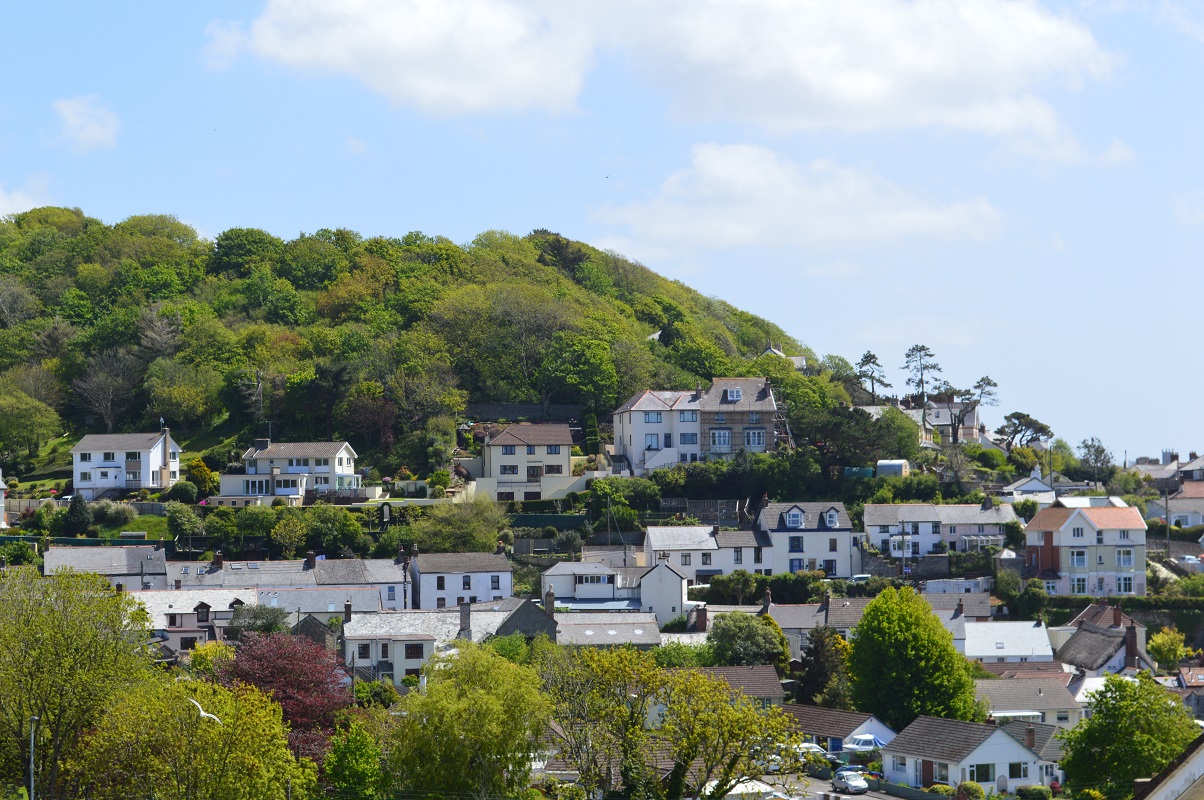 View from the decking - looking straight ahead
