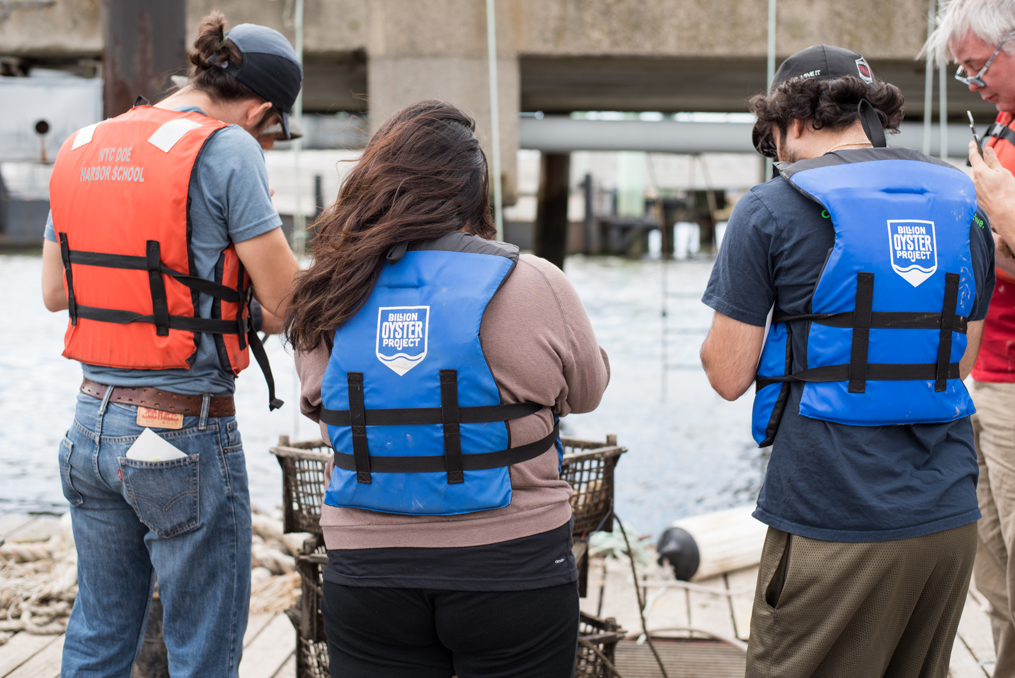 Once these oysters are sufficiently mature, they will be transferred to established oyster beds along the New York waterways, helping to clean up the rivers and curb the harmful effects of climate change.