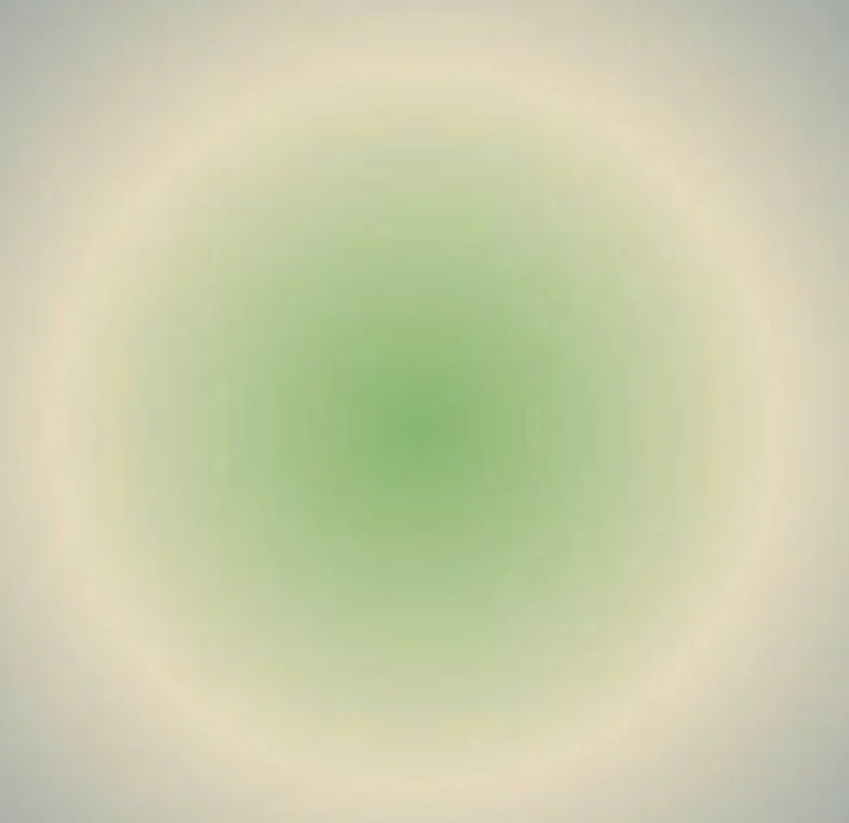 EFF613BB-0041-47AC-A661-C5FA2684CD26.jpeg