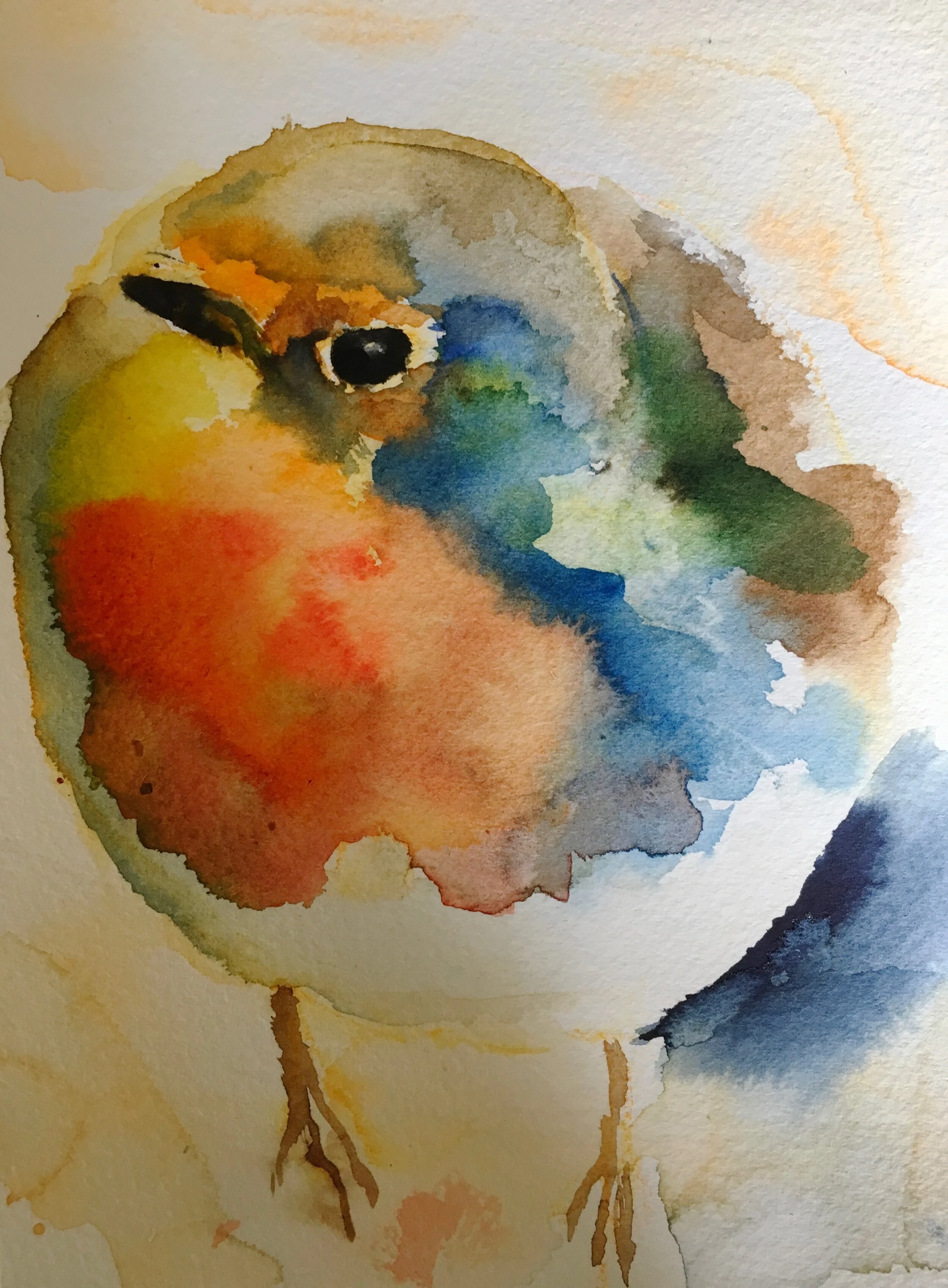 Robin | 12,5 x 18 cm | 2019
