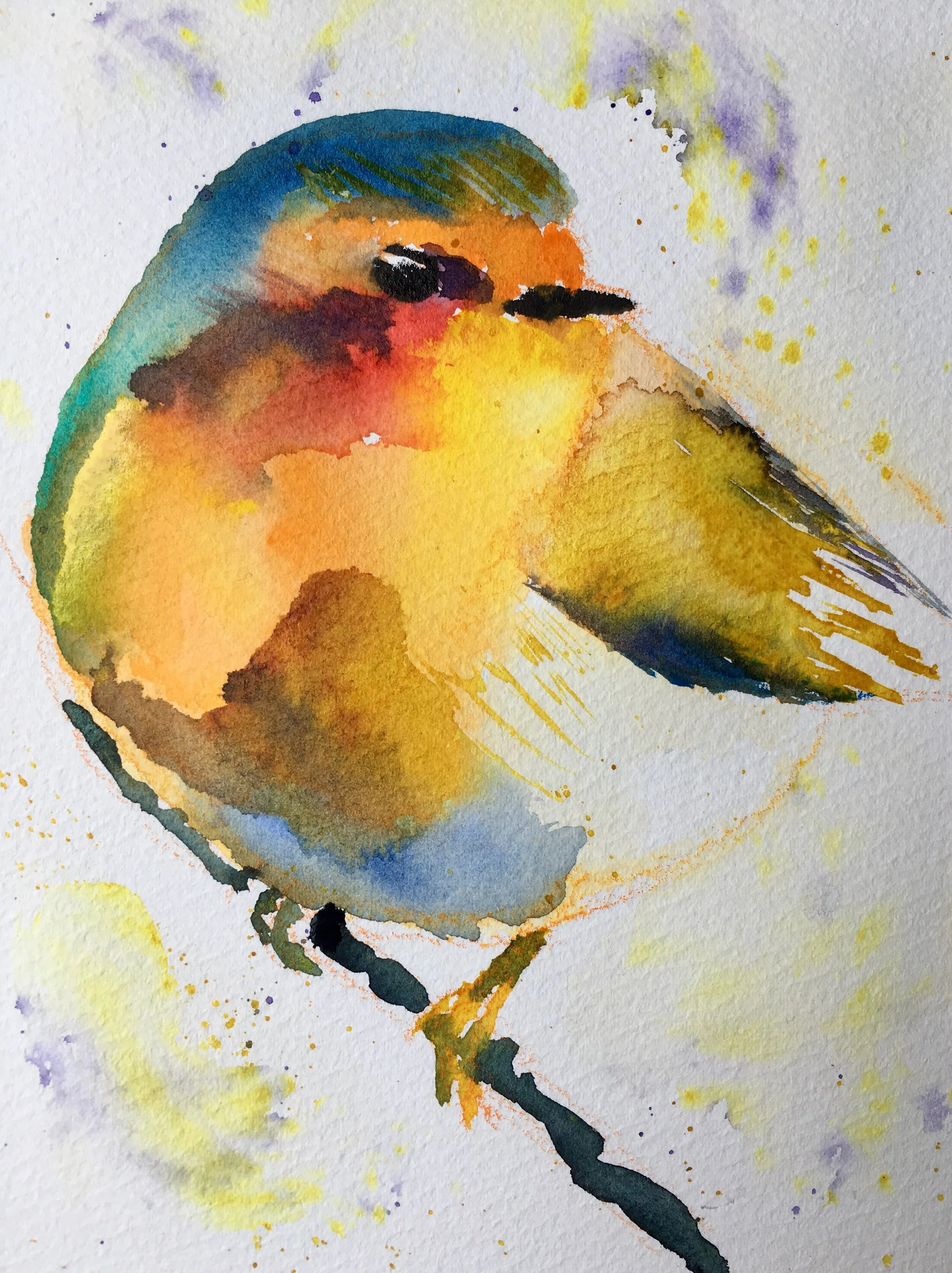 Robin | 12,5 x 18 cm | 2019