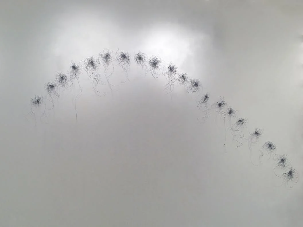 Blue Arc In 20 2015