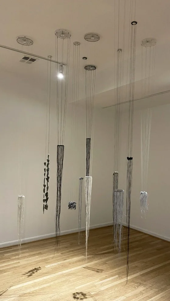Eleven Meduse .jpg