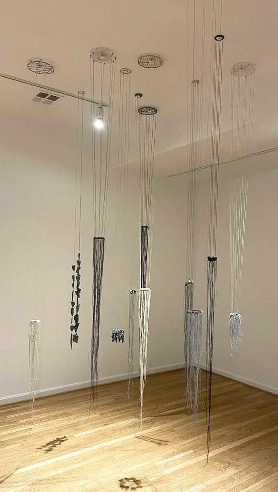  Several Meduses  2025 