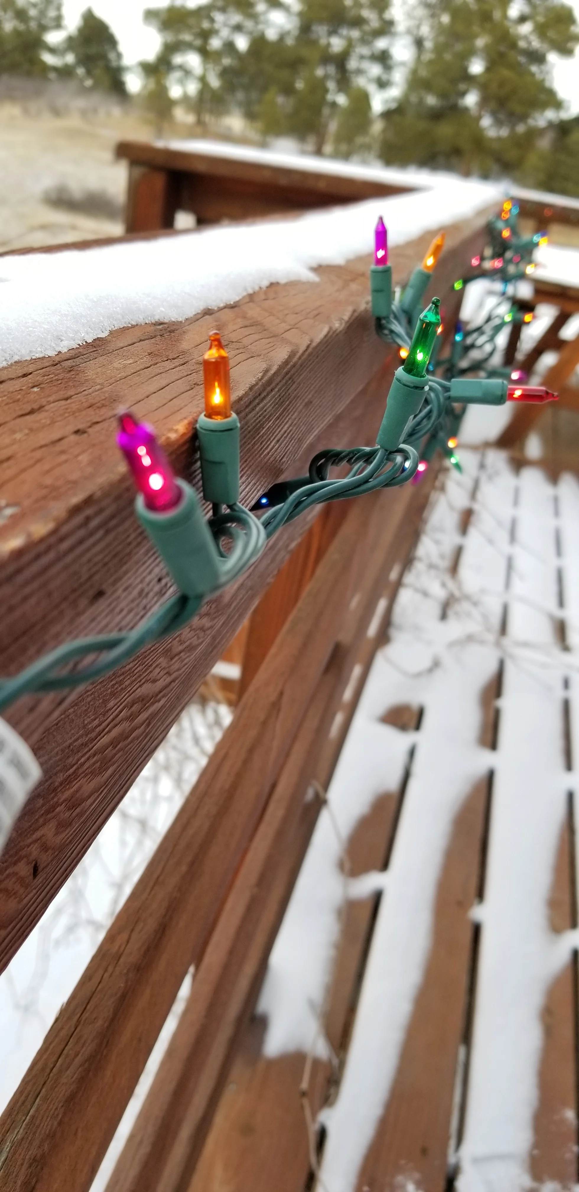 20171224_154436.jpg