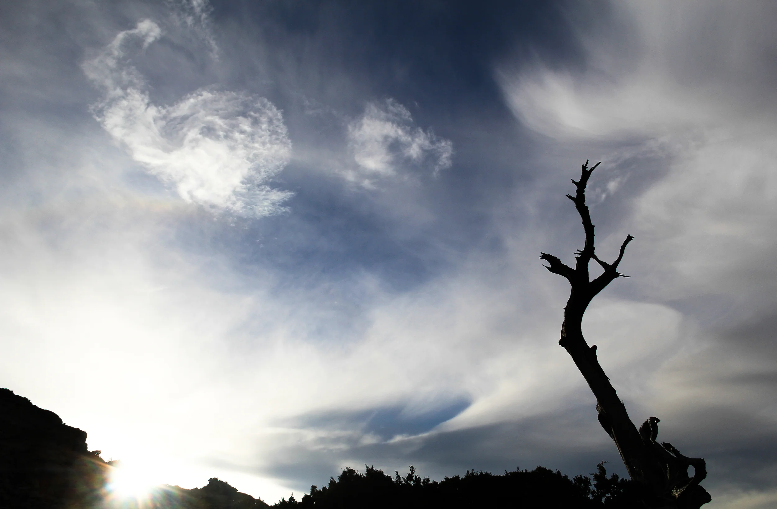 Wispy