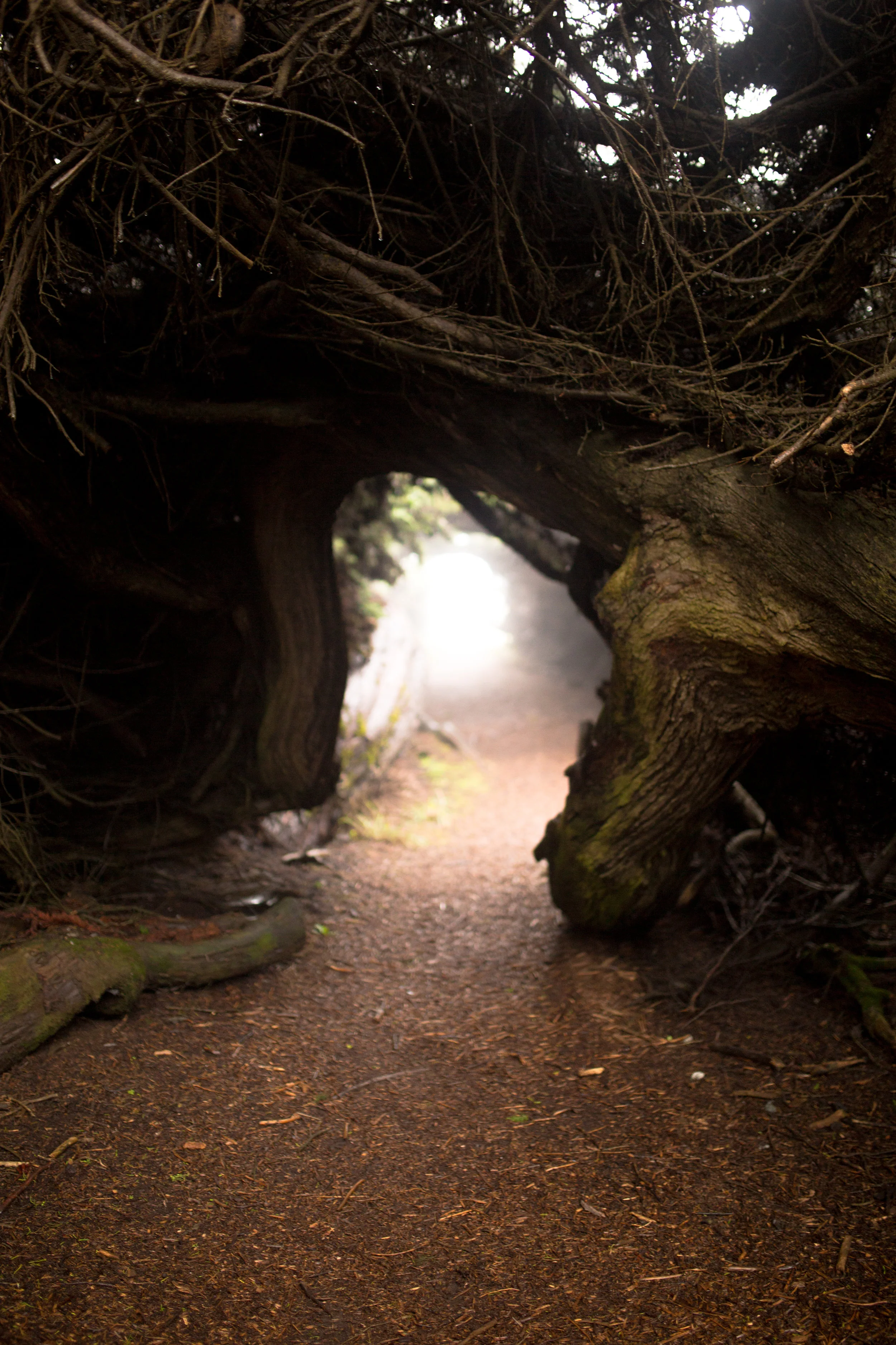 Right Path
