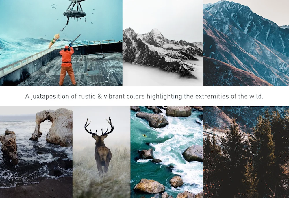 Trend Book_ED3 (dragged) 3 copy.jpg