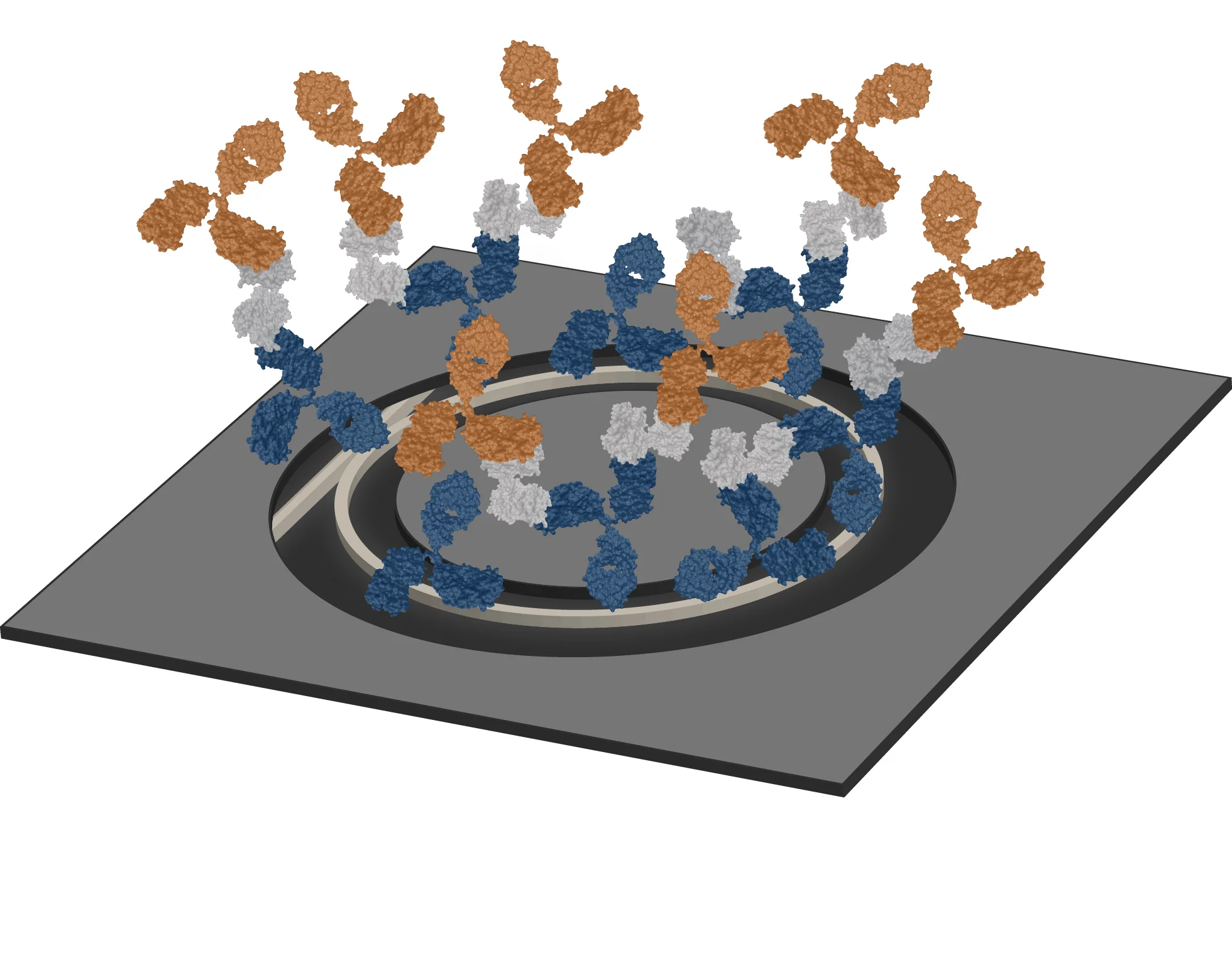 Representation of Sandwich Immunoassay on a Single Microring Sensor