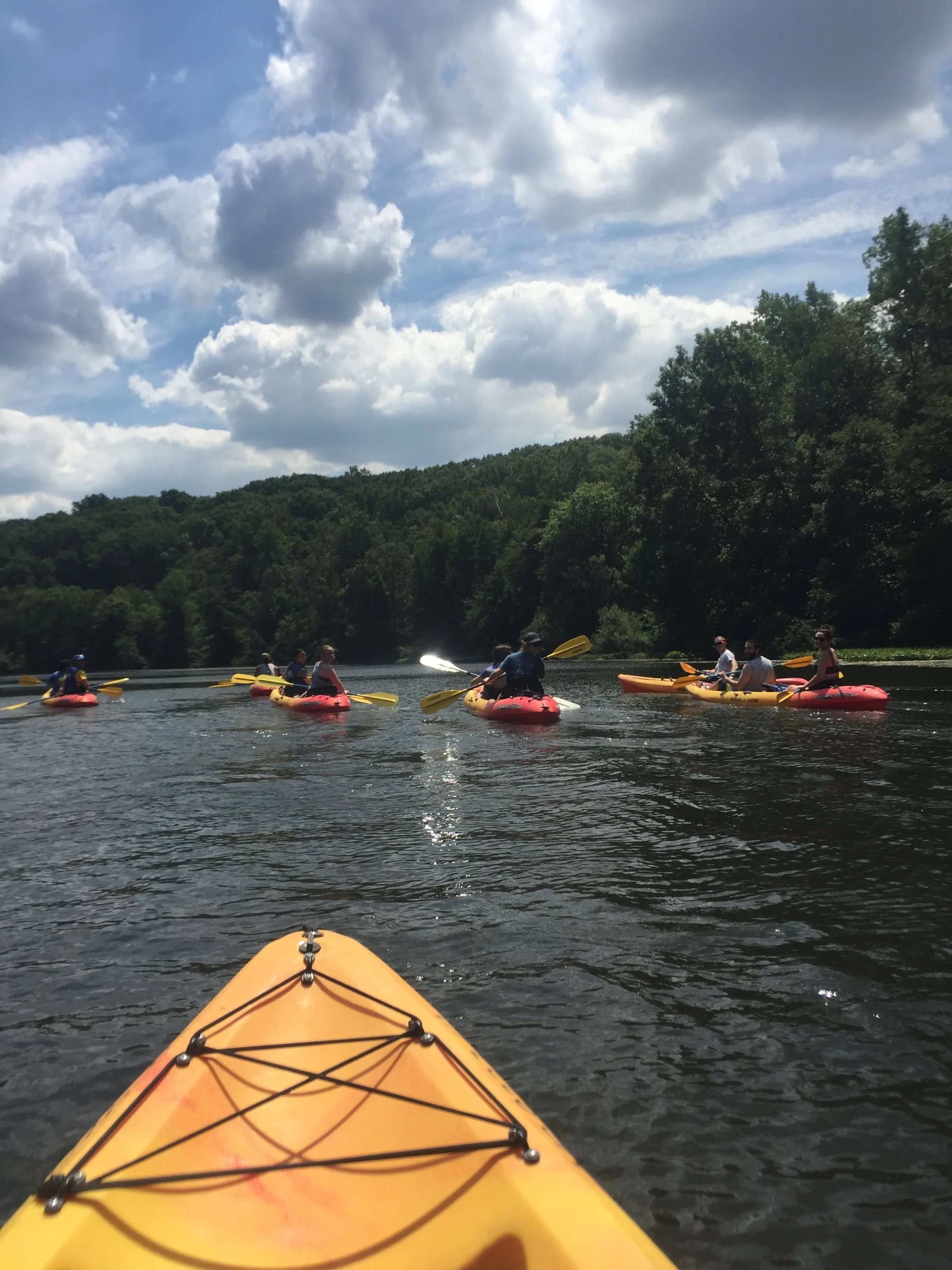 3rd Annual Bailey Lab Kayaking Trip