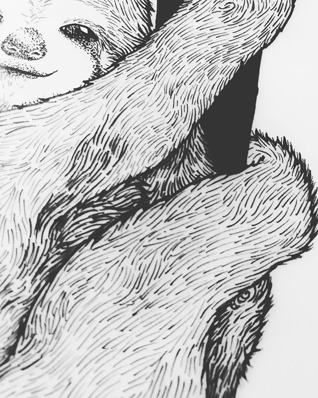 💤
-
➰ It's all in the details ➰
-
#art #drawing #inkdrawing #artistoninstagram #ATLartist #pointillism #stippling #linedrawing #blackandwhiteart #pen #penandink #dotworkers #dotwork #linework #sloth #slothdrawing
-
&copy; Rafaella Studart, 2019