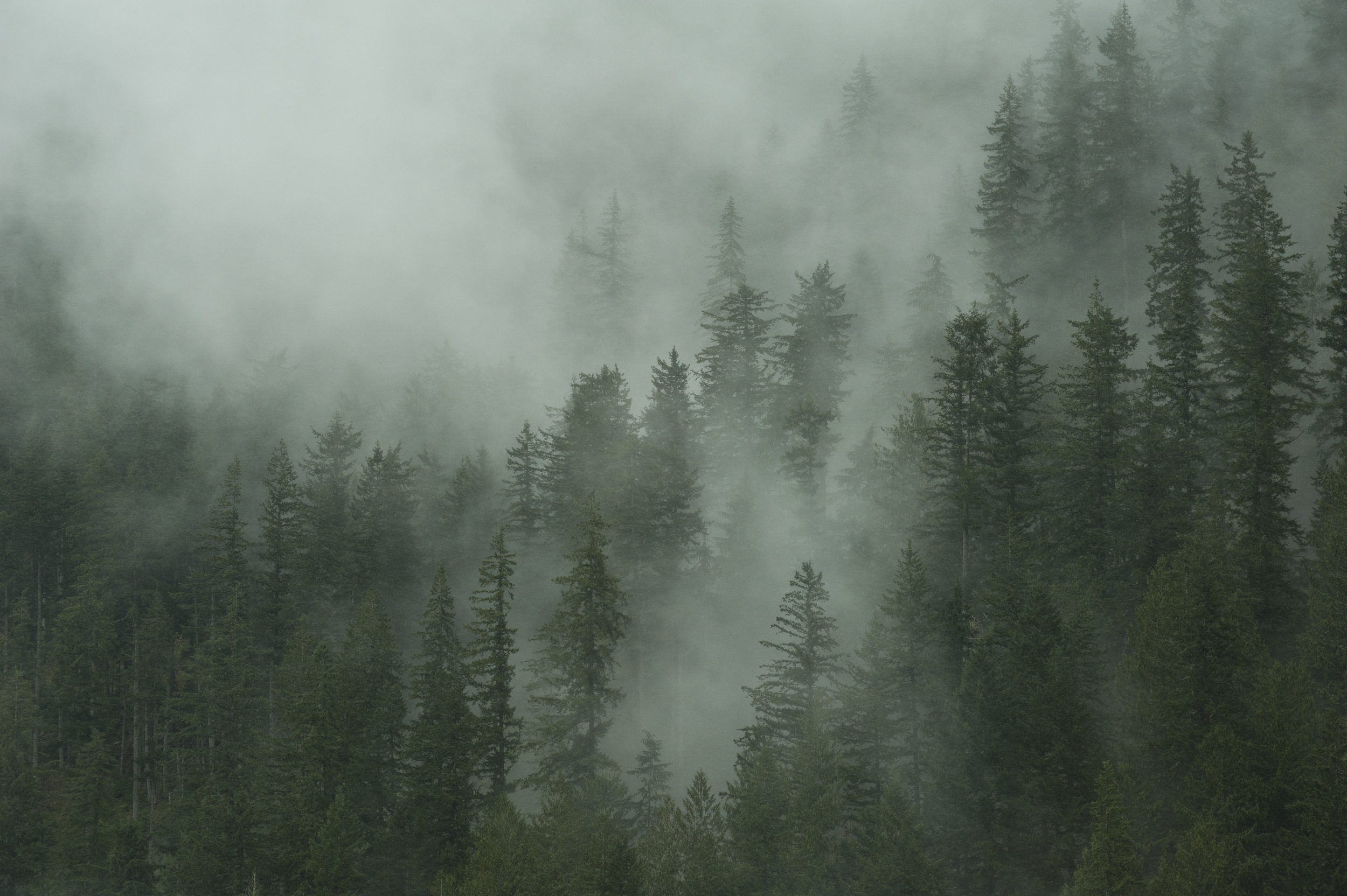 hazy hillsides