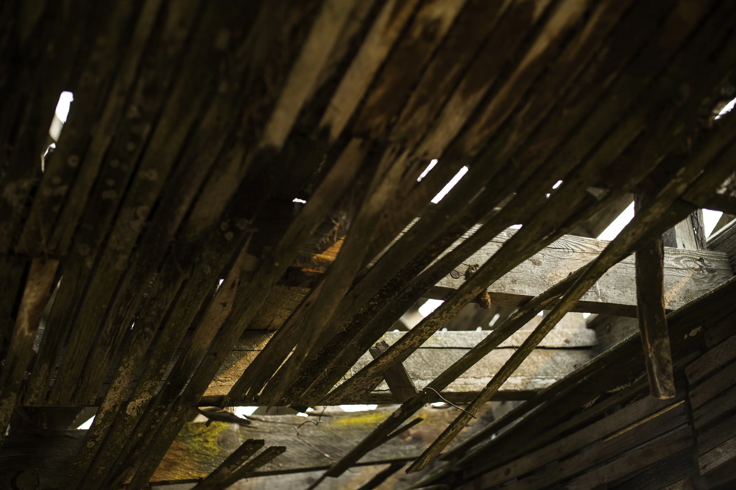 AW17 MANDULA + Janaki Larsen - Oroville 20.jpg