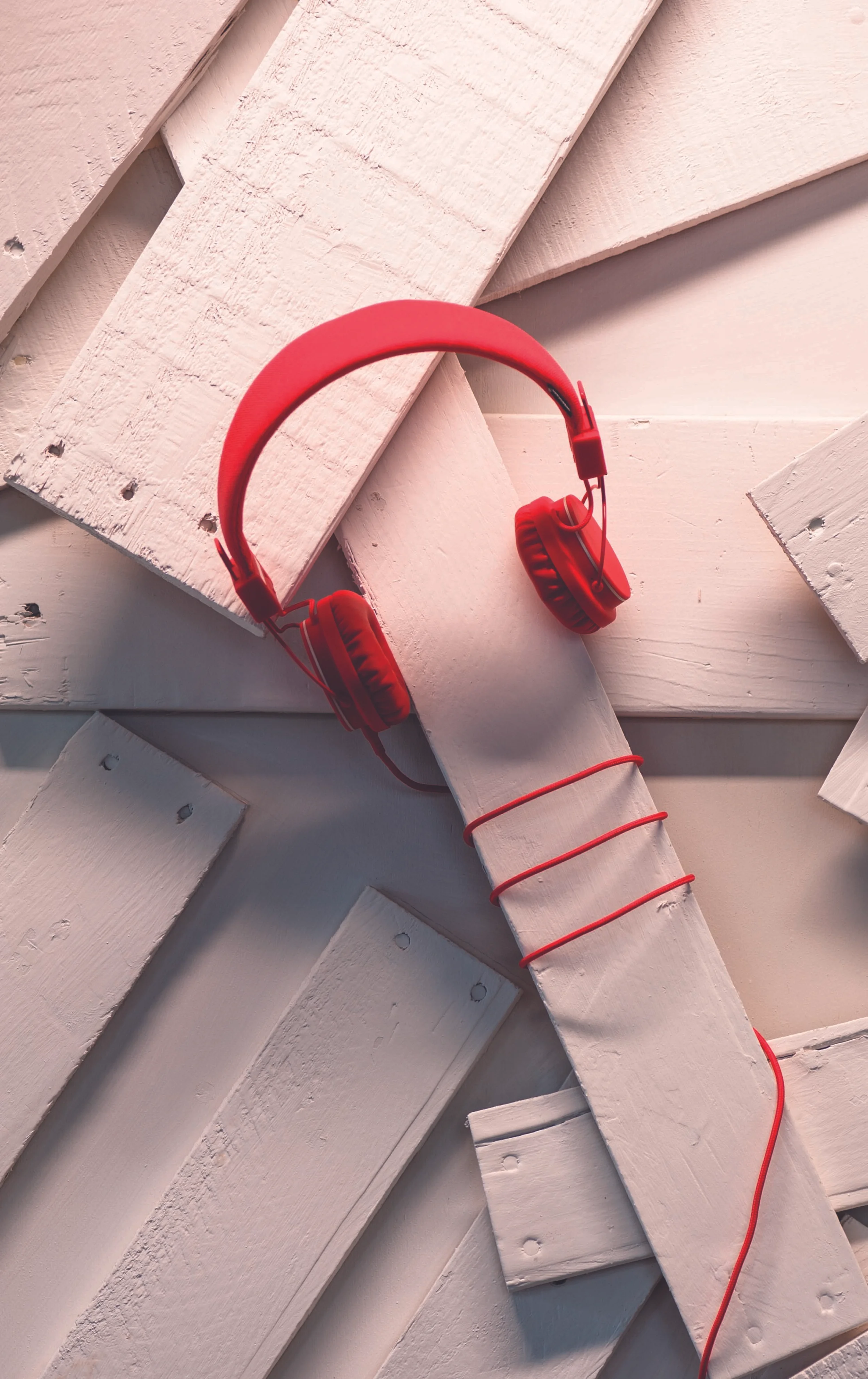 LR - 2016.05.05 - hmv x plattan tomato.jpg