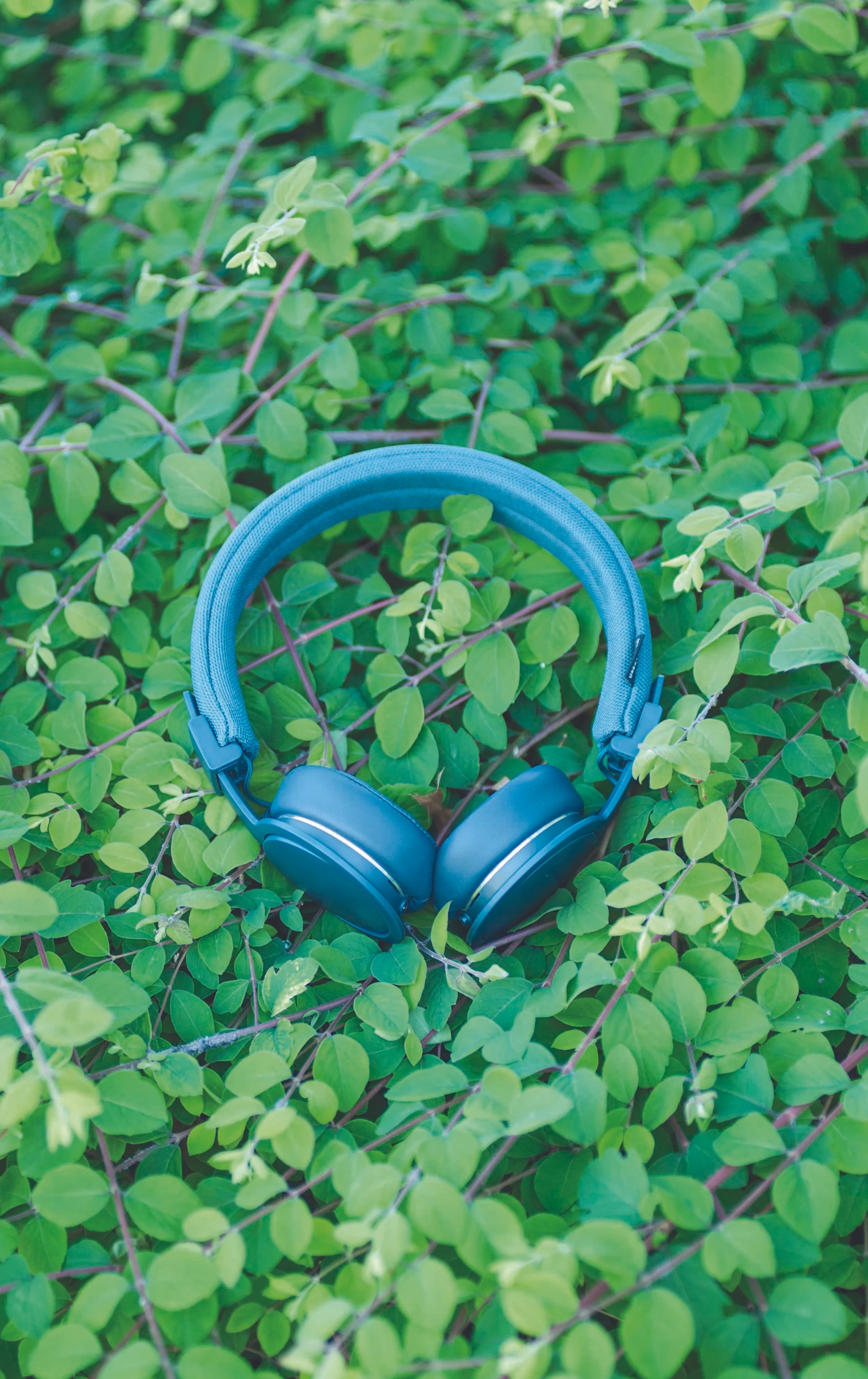 LR - 2016.05.06 - hmv x plattan adv indigo.jpg