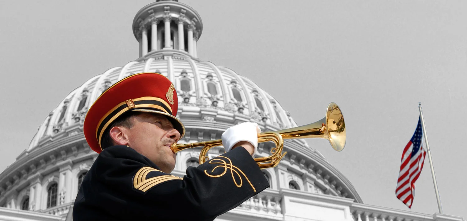 bugler_grey_tint01.jpg