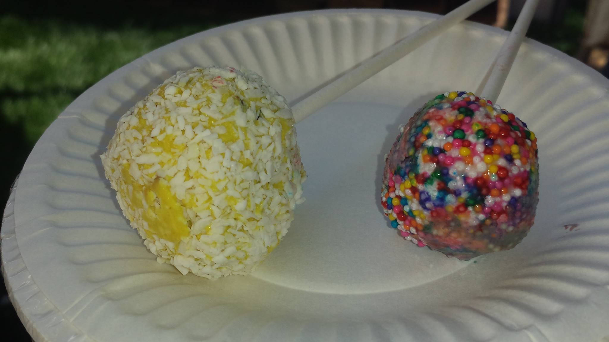Sweet Republic's Donut Hole and Coconut Curry pops