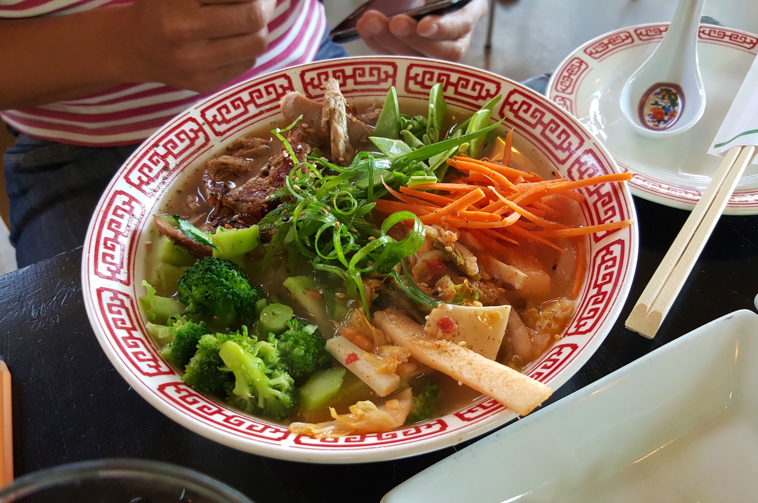 Udon noodles and duck