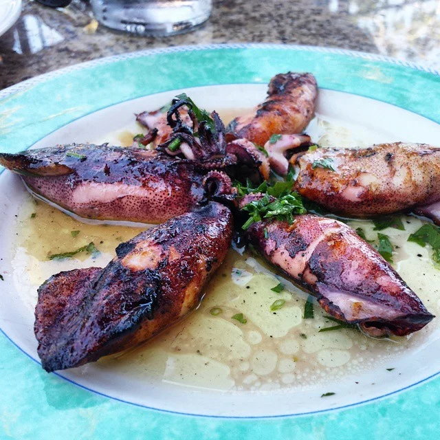 Grilled calamari