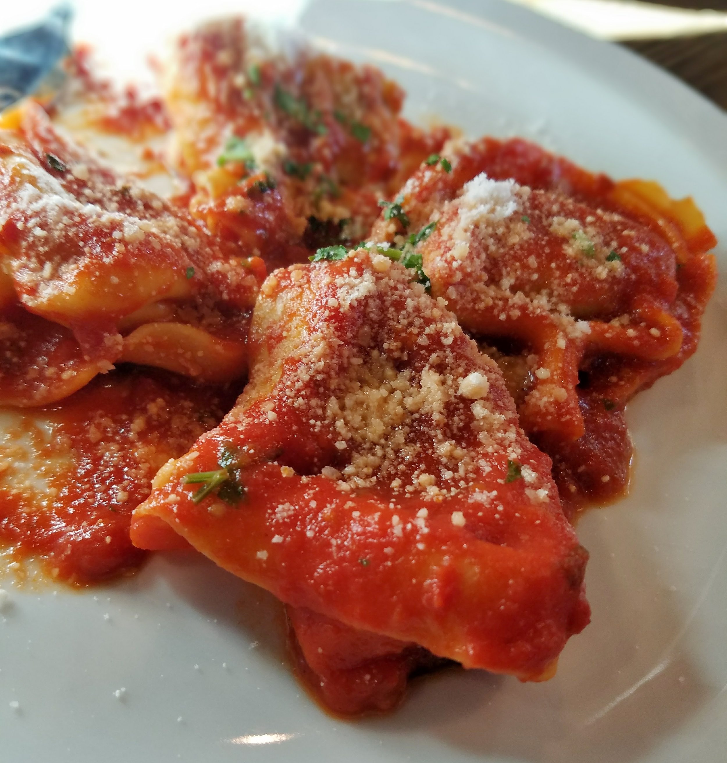 Veal and beef ravioli with marinara (a special)