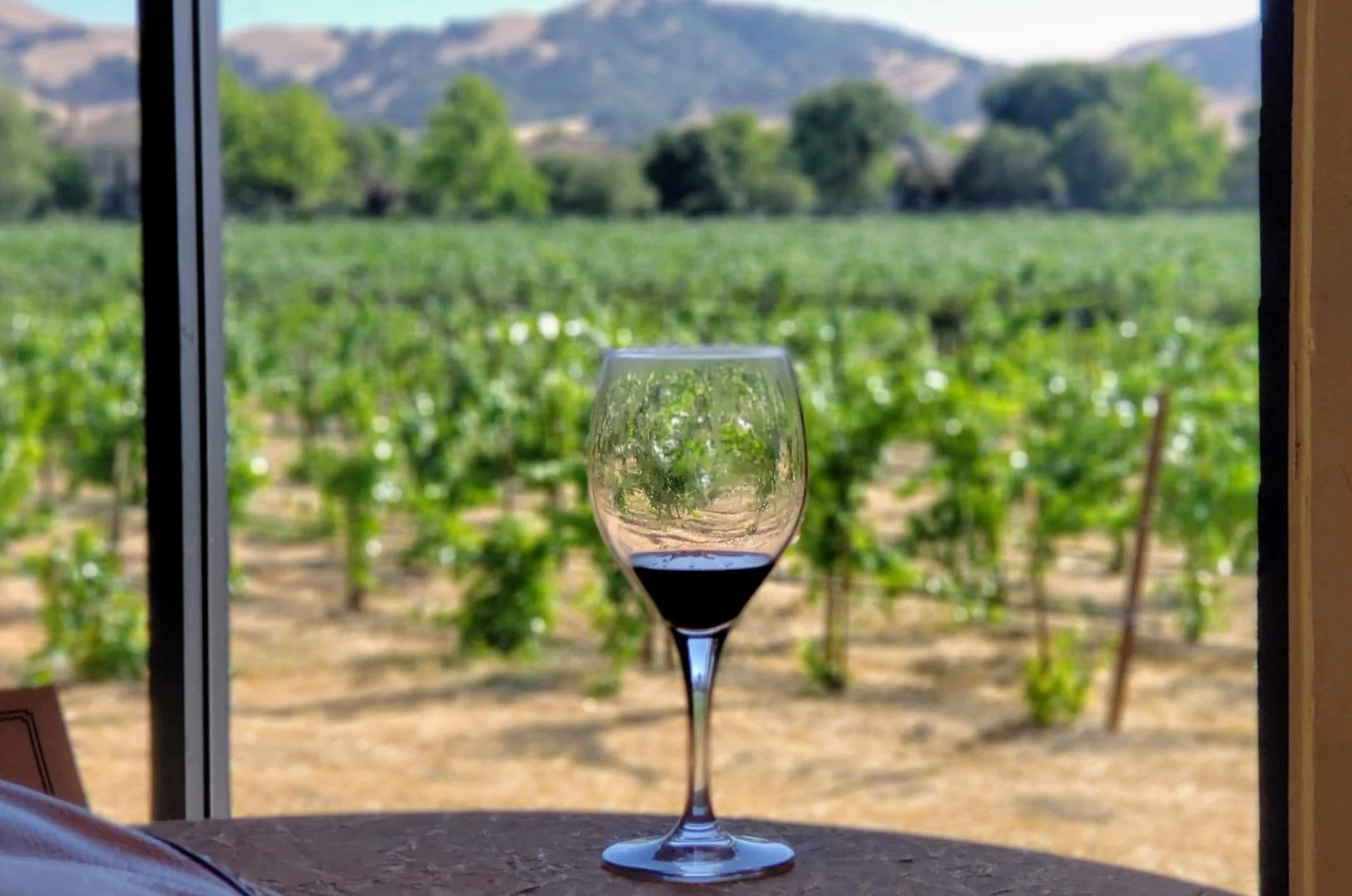 Taste of Terroir pairing competition at Casa Real