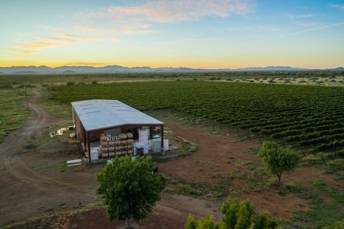 Sunset Wine Dinner at LDV Winery