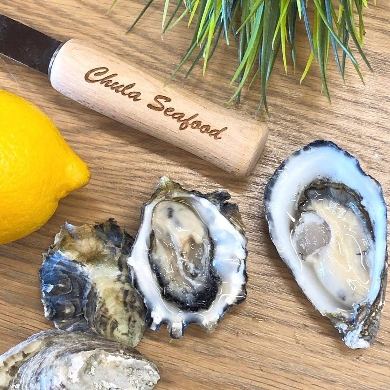 Chula Seafood Celebrates Oyster Day