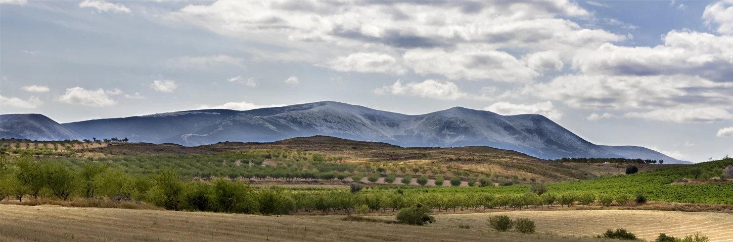 image courtesy of www.wineroutesofspain.com