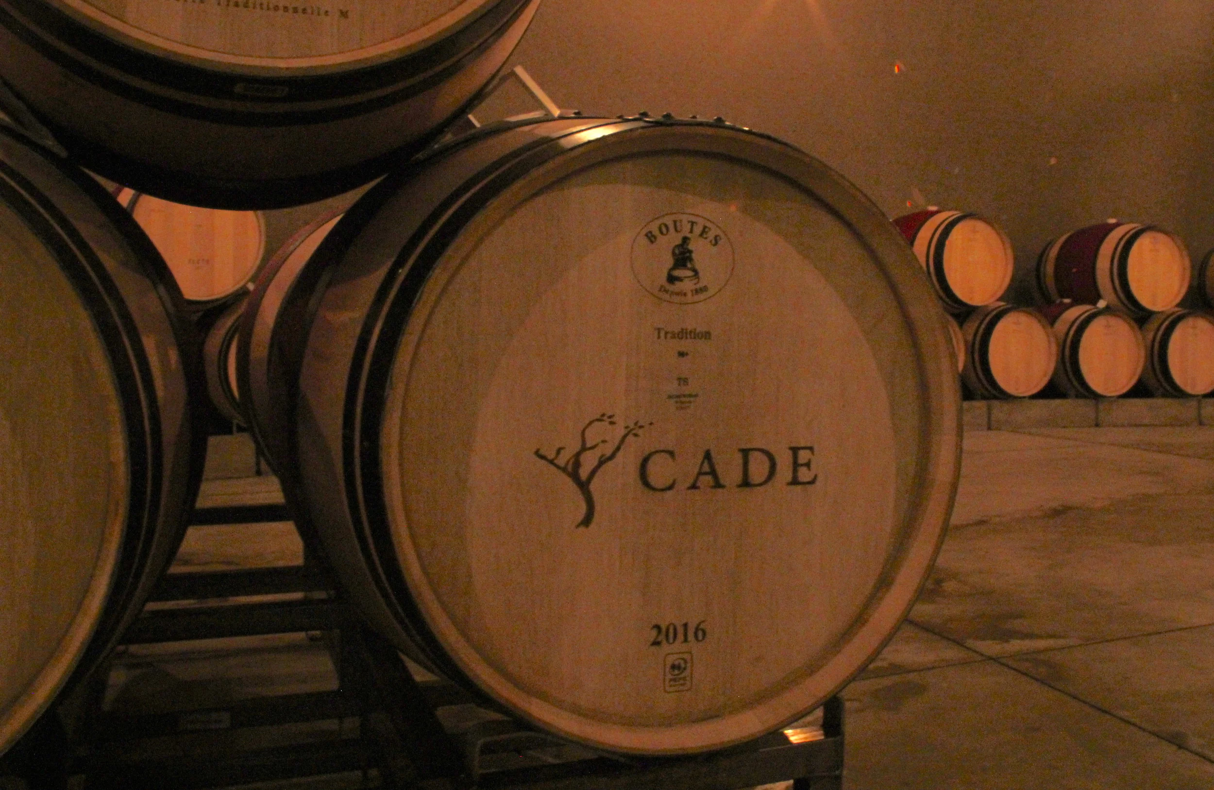 inside the Cade wine cellar