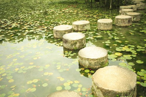 shutterstock_Stepping Stones.jpg