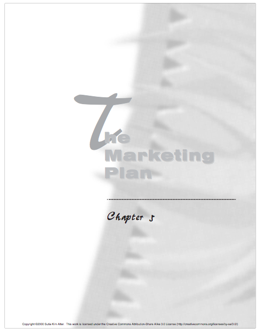 The Marketing Plan Chapter 5.png