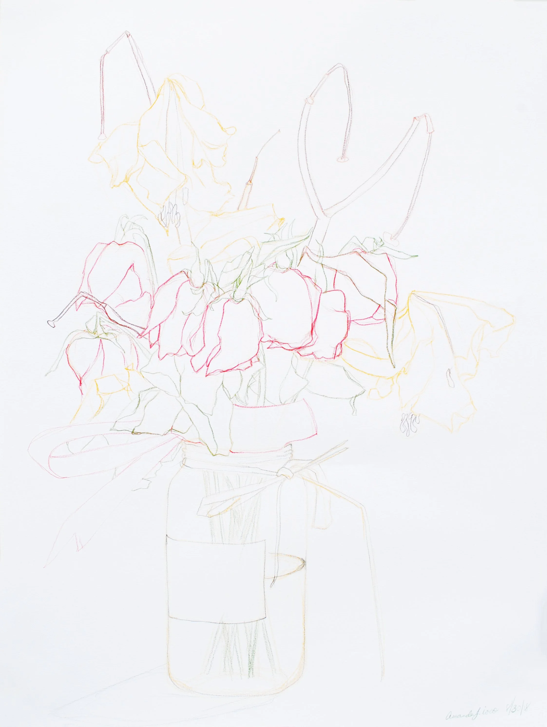 AfterMy26thBirthdayFlowers_24x18-coloredpencil-2018_amandaioco.jpg